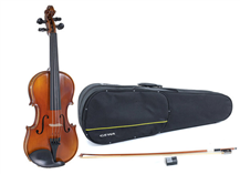 Gewa Master 1 VL3 Larsen pack with case 4/4 Violin