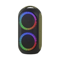 PowerAcoustics Gozik Bluetooth Loudspeaker Black / Green