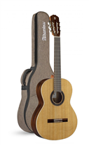 Alhambra 1C HT Hybrid Terra 4/4 with bag