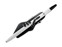 Roland Aerophone AE-20