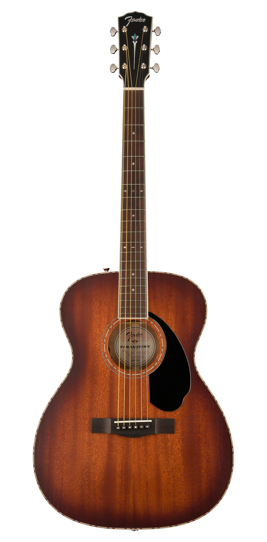 Paramount shop guitars vintage