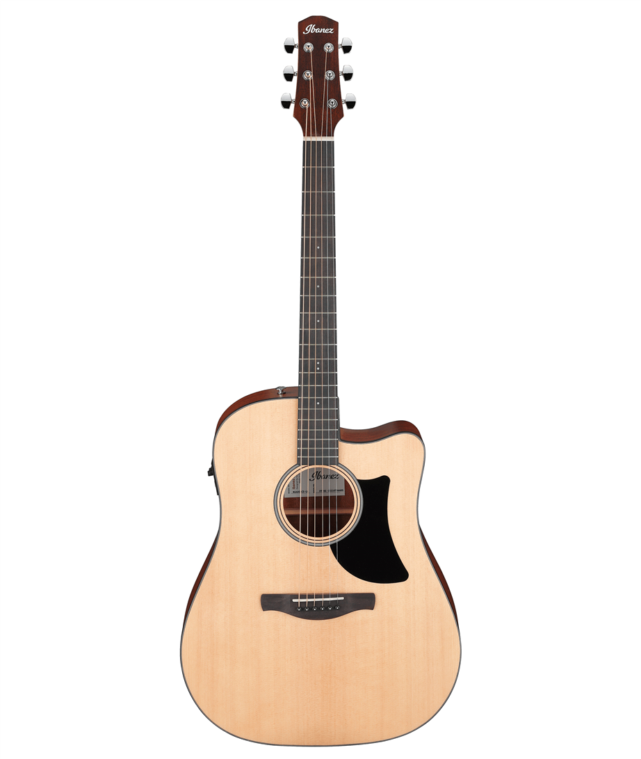 Ibanez AAD50CE Natural Low Gloss