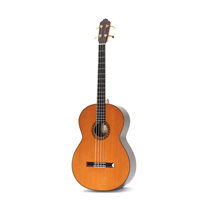 Esteve Octave 4 Acoustic bass