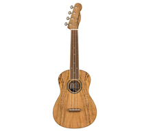 Fender Zuma Exotic Natural Spalted Maple Concert Ukulele