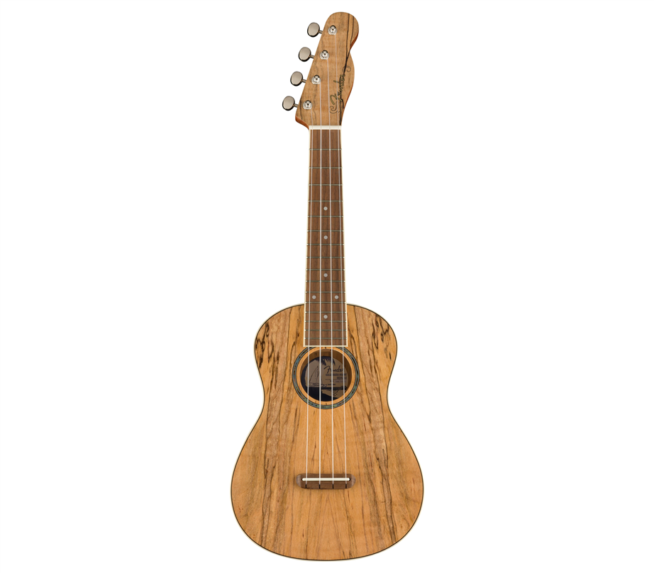 Ukulele Concerto Fender Zuma Exotic Natural Spalted Maple