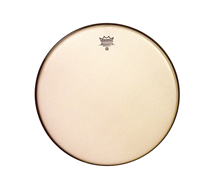 REMO RA-0010-SS Ambassador Rena 10"
