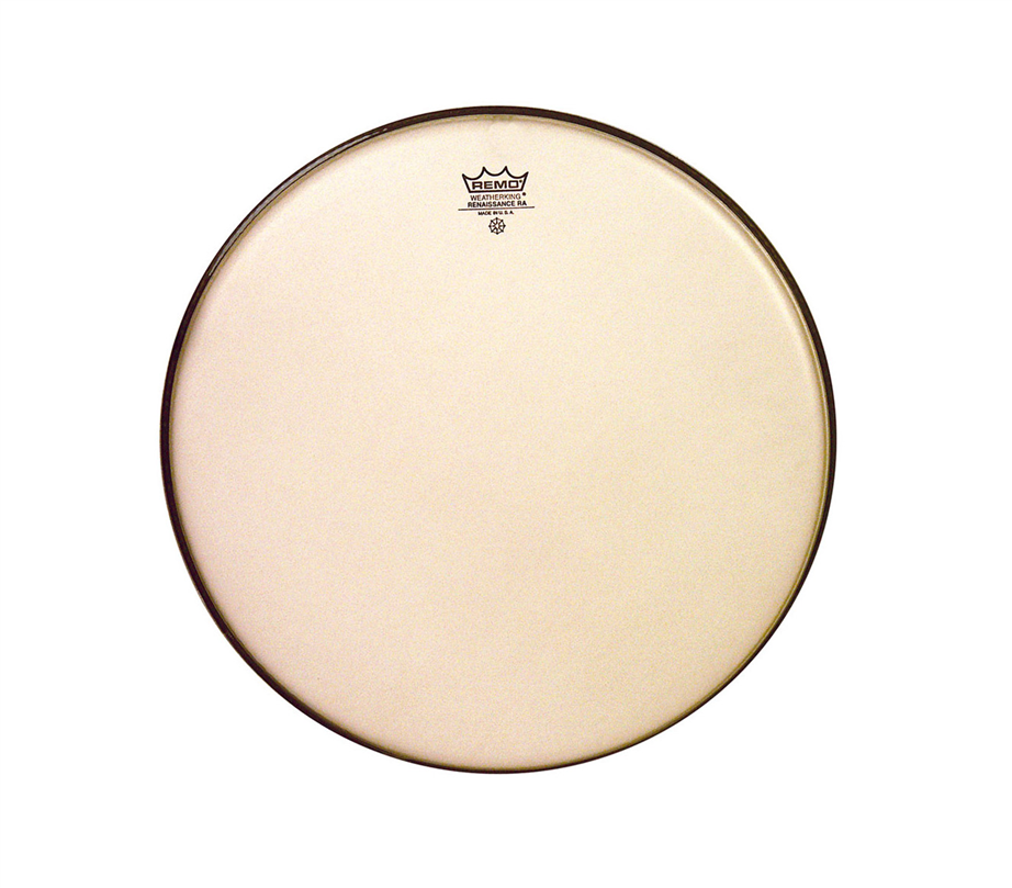 REMO RA-0010-SS Ambassador Rena 10"