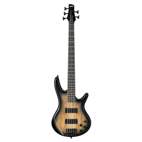 Ibanez GSR205SM Natural Gray Burst
