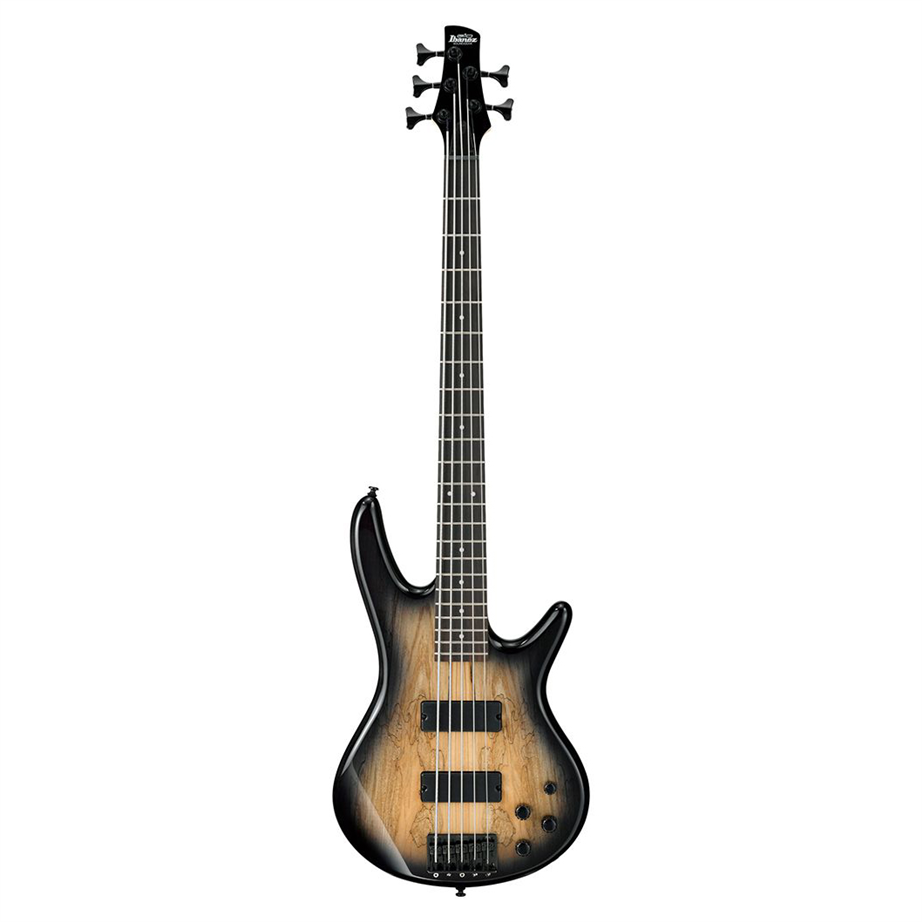 Ibanez GSR205SM Natural Gray Burst