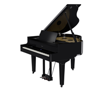 Roland GP-9 Polished Black Digital Piano
