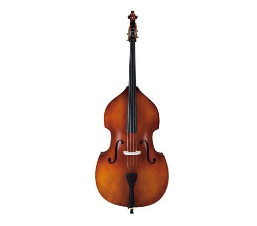 Carlo Giordano SB150 1/2 Double Bass
