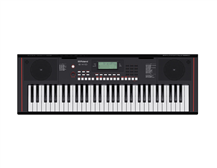 Roland E-X10 Arranger Keyboard