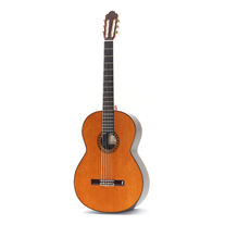 Esteve Octave 6 E Pro Blend Fishman Electro-Acoustic Bass