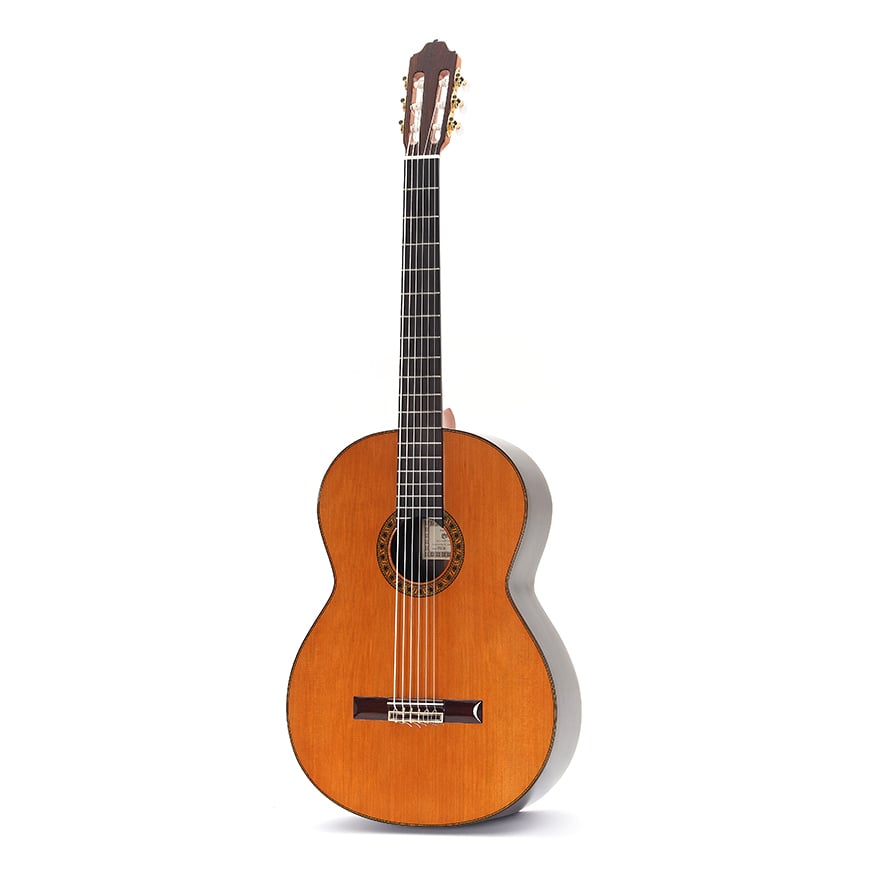 Baixo Electro-acustico Esteve Octave 6 E Pro Blend Fishman