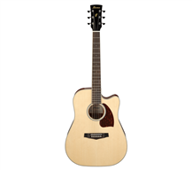 Ibanez PF16WCE NT Natural