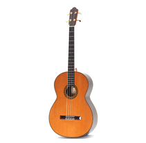 Esteve Octave 4 Acoustic Electric Bass