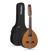 Alhambra L3-C Lute with bag