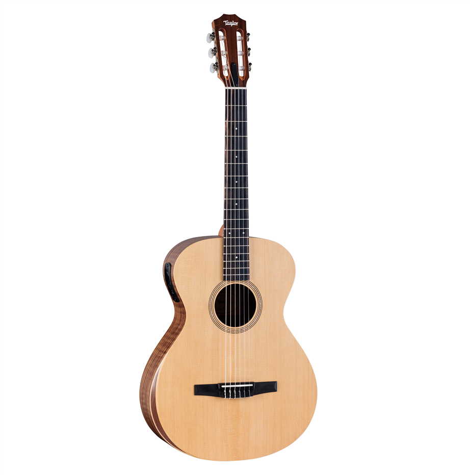 Taylor Academy 12e-N Walnut/Spruce Natural