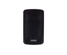 Definitive Audio INPULSE 10 BA DSP Black