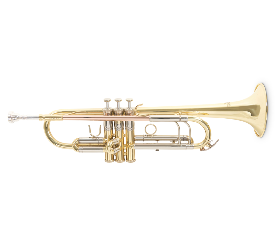 Trompeta Roy Benson TR403 Lacado Bb