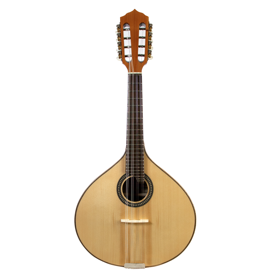 ArtiMusica BD40GC Mandolin Guitarrinha