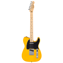 Fender Standard Telecaster MN Butterscotch Blonde