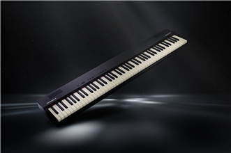 Roland GO:Piano88PX | Ludimusic