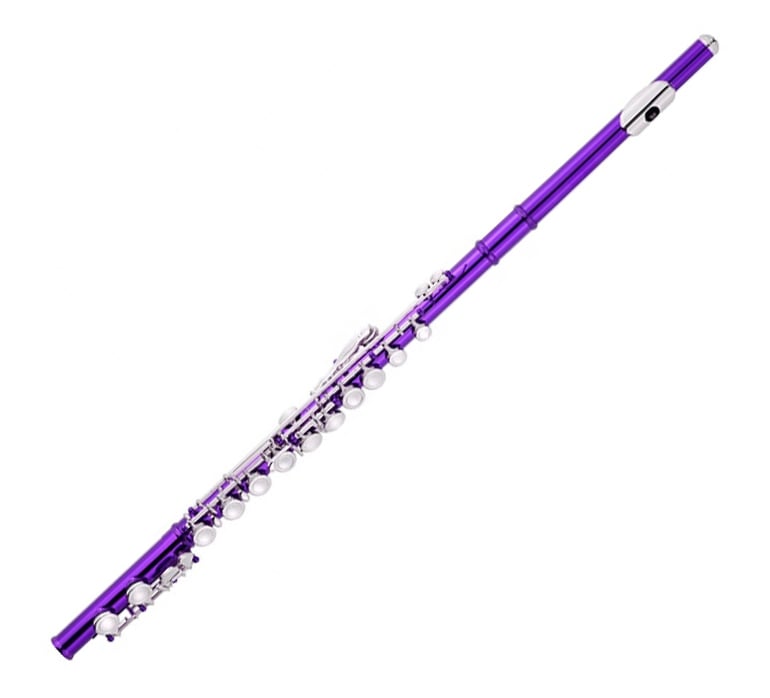 Taylor Collins FL-538 Transverse Flute Purple