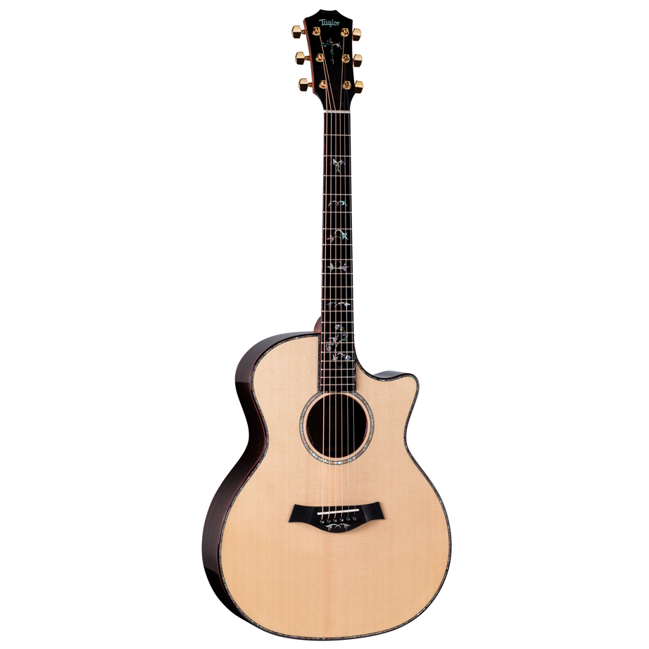 Taylor Legacy 914ce Natural Gloss