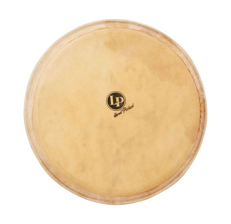 LP 961 12 1/2" Djembe Head