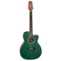 Takamine LTD2025 Gloss Antique Evergreen Limited Edition