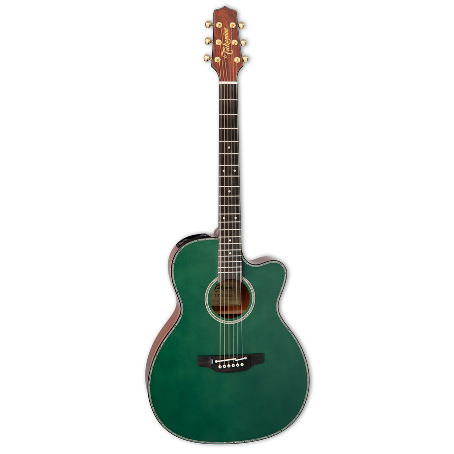 Takamine LTD2025 Gloss Antique Evergreen Limited Edition