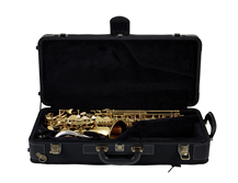 Yanagisawa AWO33 Elite Golden Alto Saxophone