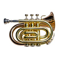 Taylor Collins TCPTR-36 Lacquered Pocket Trumpet