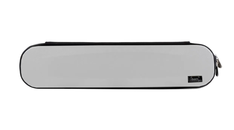 BAM STAGE 4009I Gray Flute Case