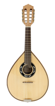 ArtiMusica BD41TC Carillon Mandolin