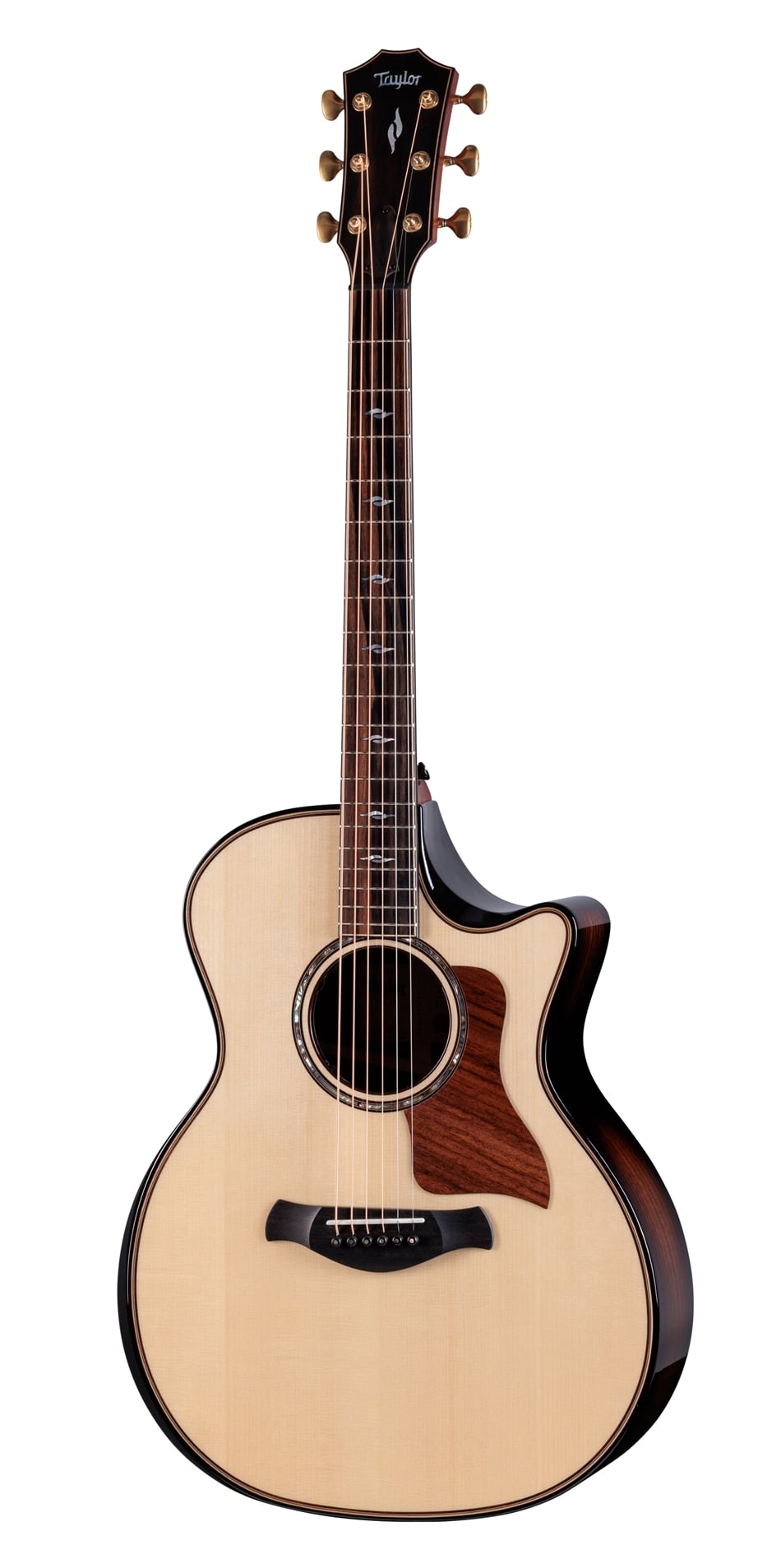 Taylor Builder’s Edition 814ce Next-Gen Indian Rosewood/Adirondack Natural