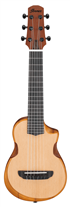 Ibanez AUP10N-OPN Natural Guitar