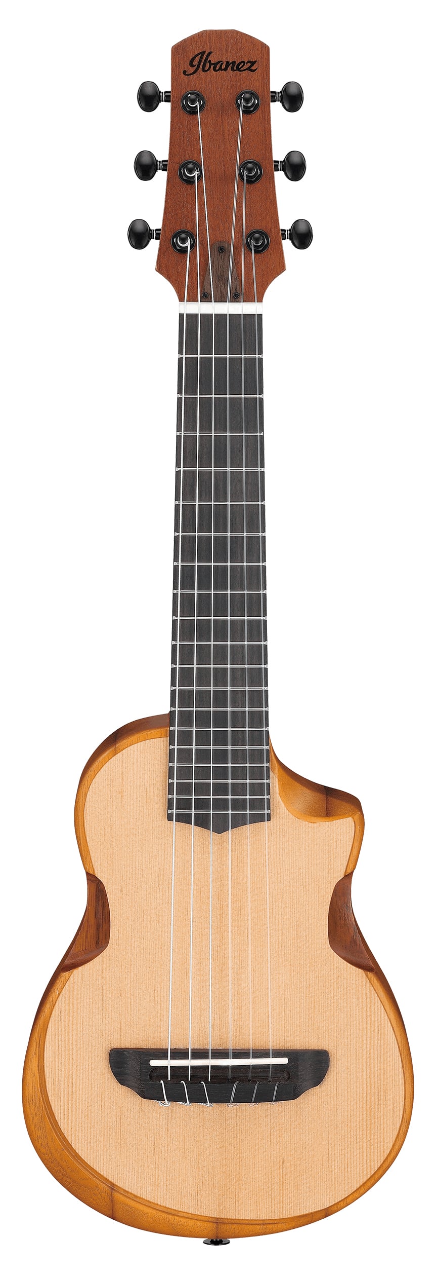 Ibanez AUP10N-OPN Natural Guitar