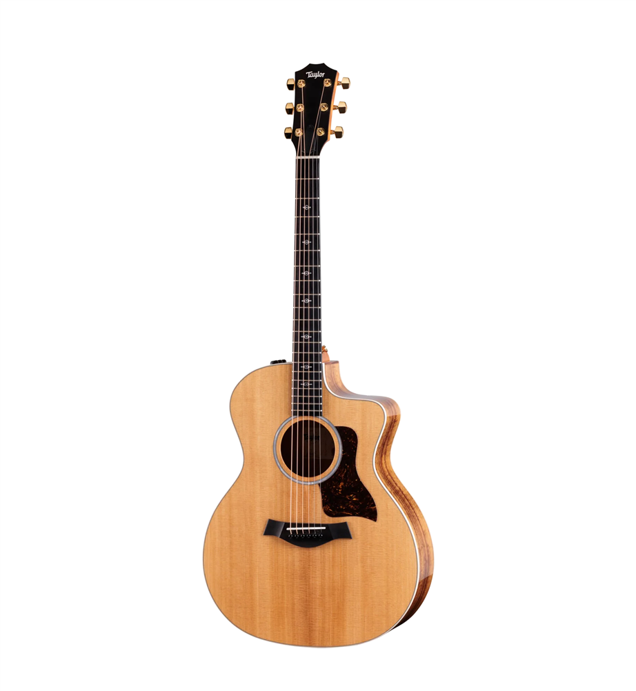 Taylor 214ce-K DLX Torrefied Spruce Top Natural