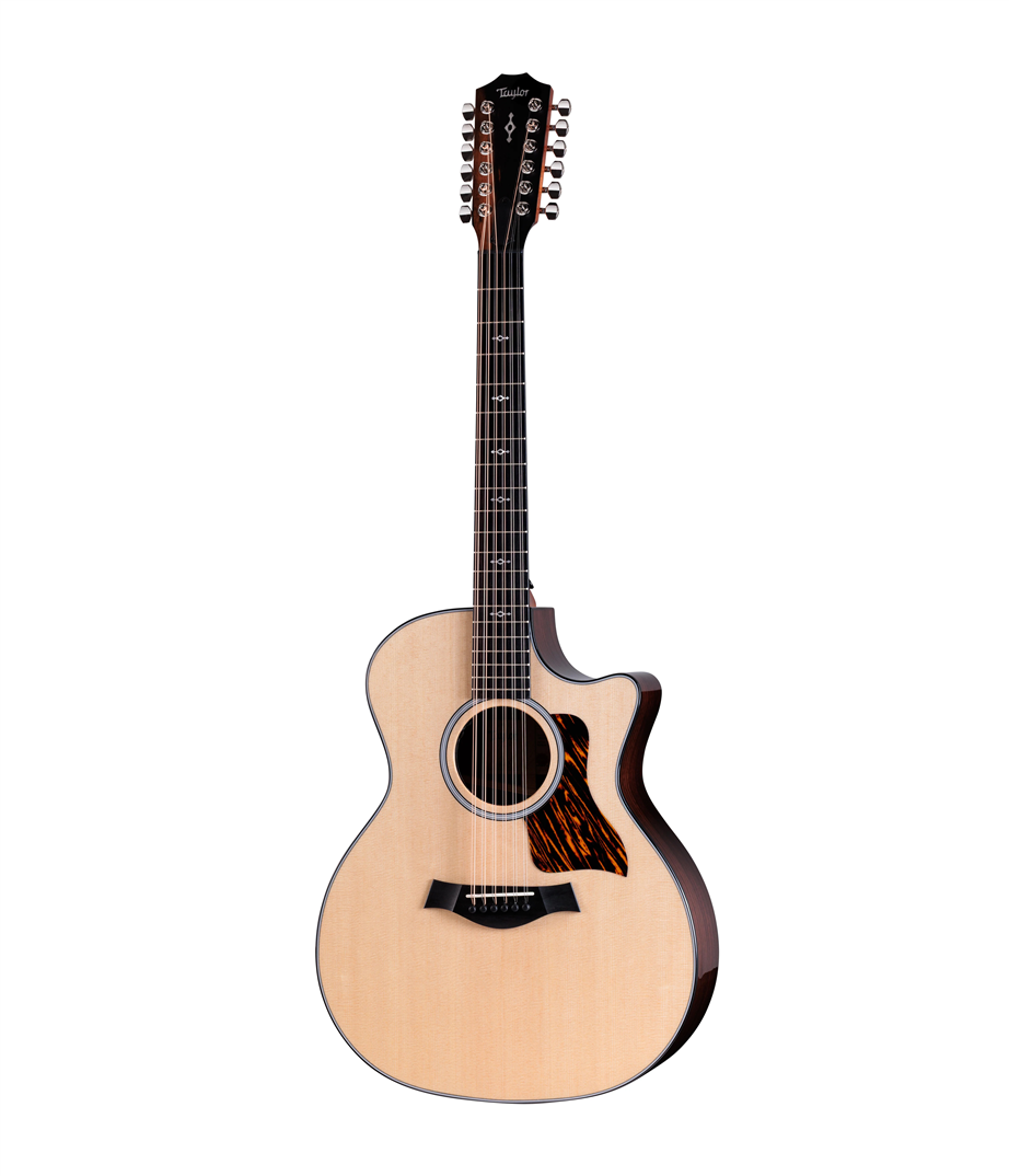 Taylor Next Generation 454ce Natural