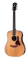 Taylor Gold Label 710e Natural