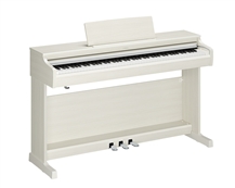Yamaha YDP166 WB Arius White Birch