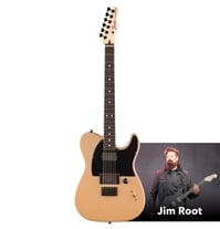 Fender Jim Root Telecaster® EB Edição Limitada Shoreline Gold