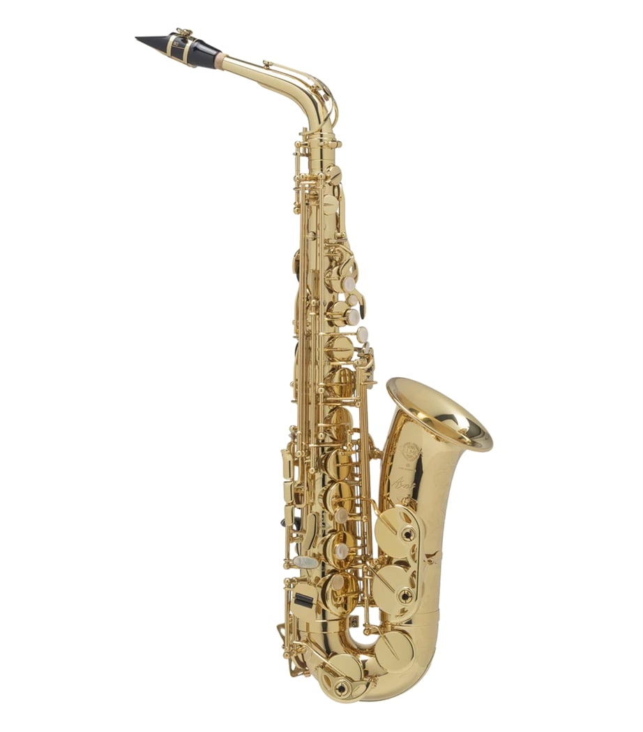Saxofone Alto Selmer Axos