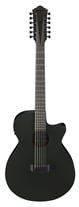Ibanez AEG1221 Bot