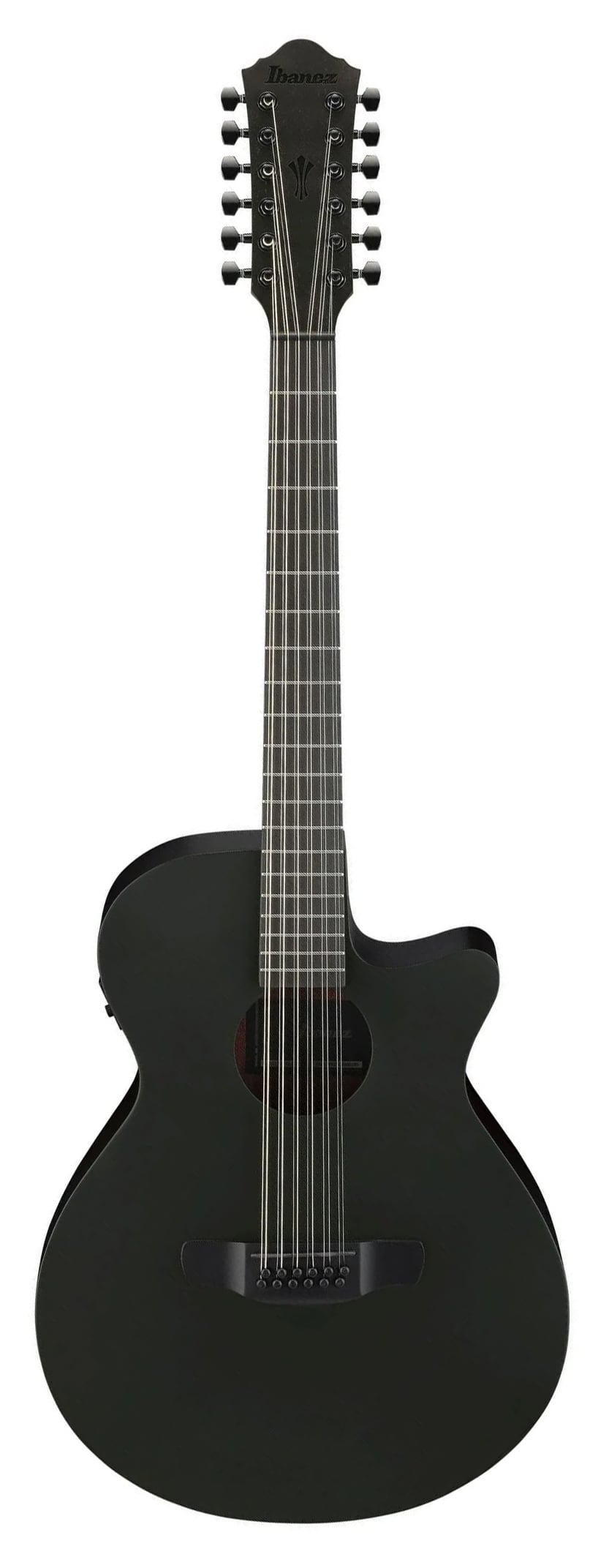 Ibanez AEG1221 Bot