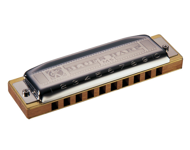 Hohner Blues Harp MS 532/20 D 20 Diatonic Harmonica