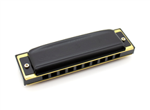 Hohner Pro Harp MS 562/20 C 20 Diatonic Harmonica