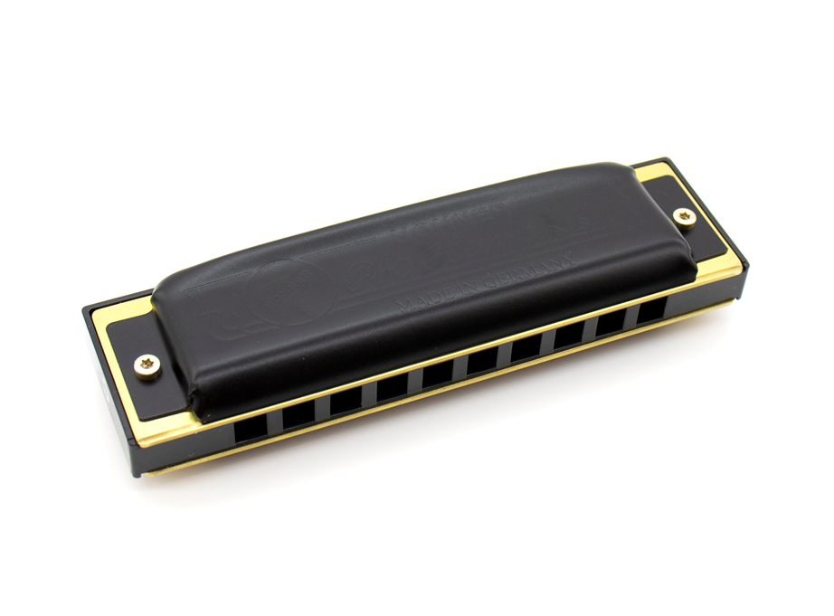 Hohner Pro Harp MS 562/20 C 20 Diatonic Harmonica